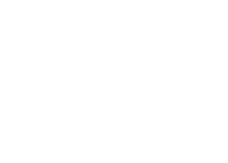 Skins Project
